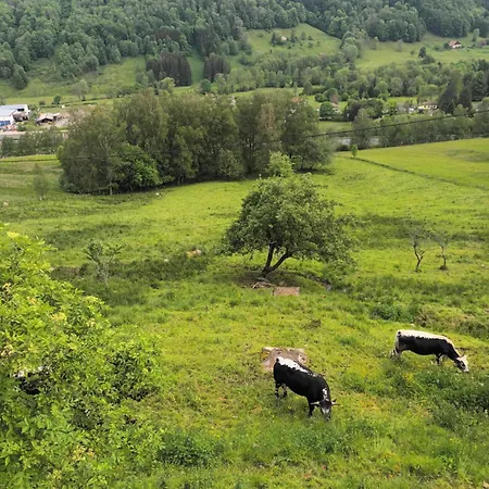 Gite Bussang Feriehus *