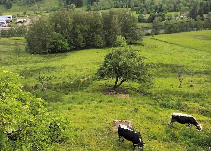 Gite Bussang Prázdninový dům *
